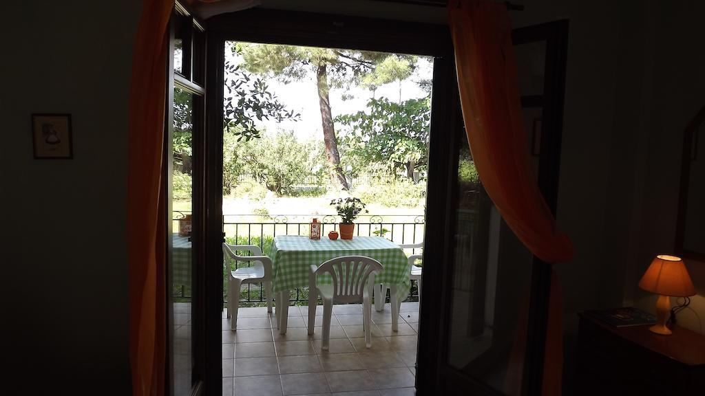 Pefka Studios & Apartments Vourvourou Oda fotoğraf