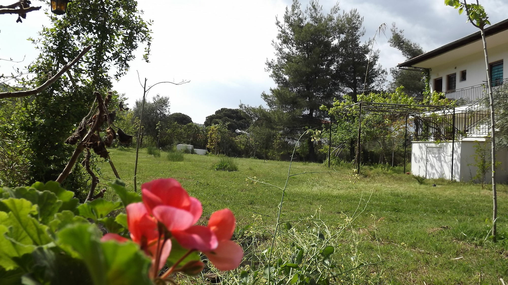 Pefka Studios & Apartments Vourvourou Dış mekan fotoğraf