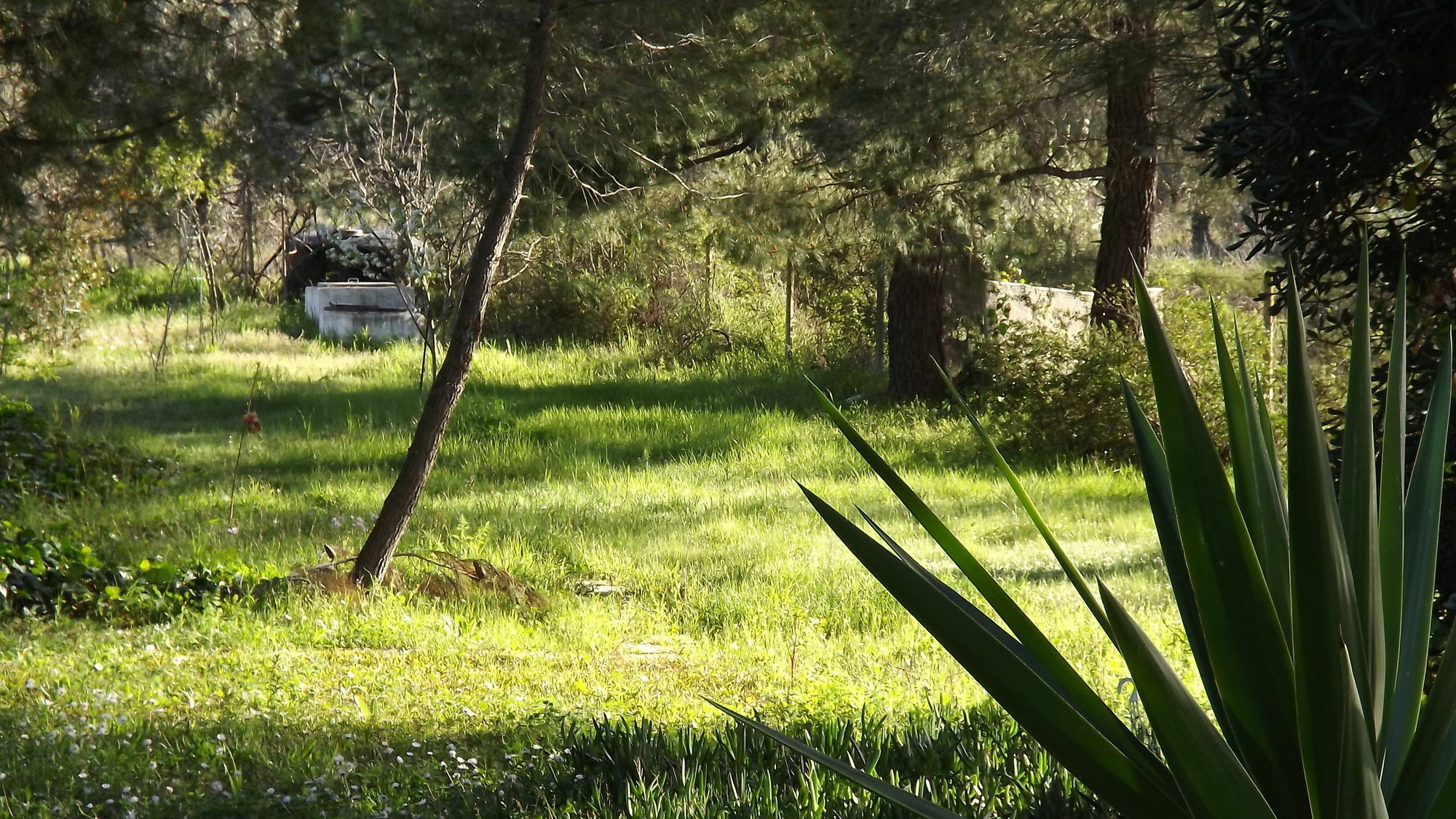 Pefka Studios & Apartments Vourvourou Dış mekan fotoğraf