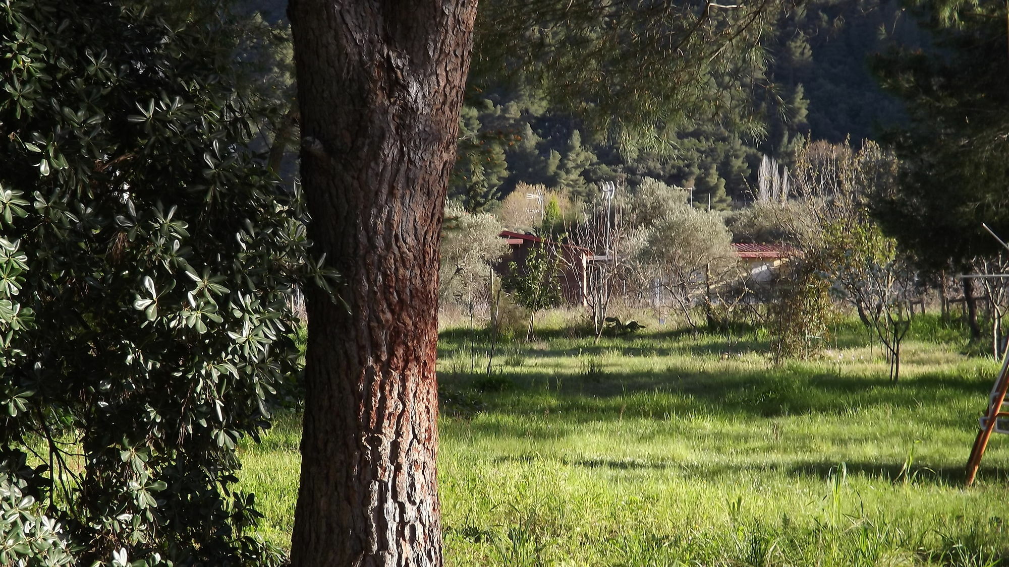 Pefka Studios & Apartments Vourvourou Dış mekan fotoğraf